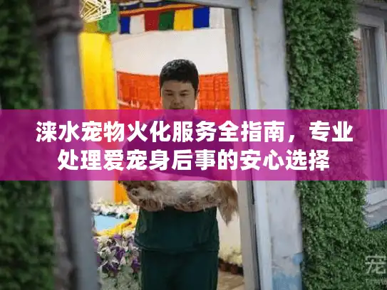 涞水宠物火化服务全指南，专业处理爱宠身后事的安心选择