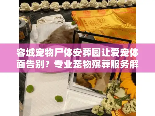 容城宠物尸体安葬园让爱宠体面告别？专业宠物殡葬服务解析