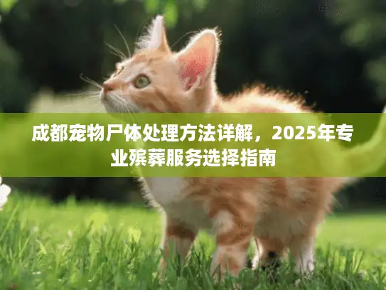 成都宠物尸体处理方法详解，2025年专业殡葬服务选择指南