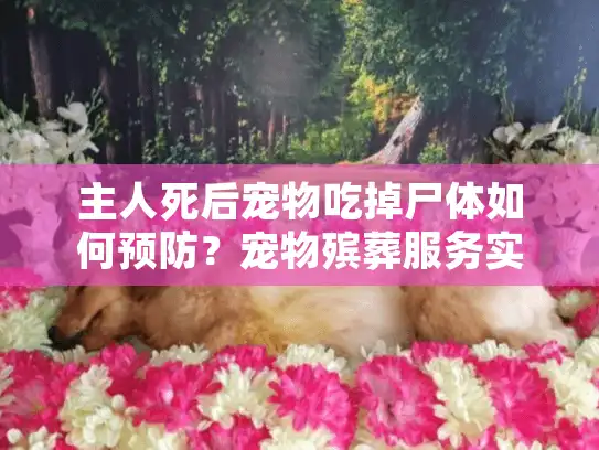 主人死后宠物吃掉尸体如何预防？宠物殡葬服务实用指南