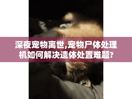 深夜宠物离世,宠物尸体处理机如何解决遗体处置难题?