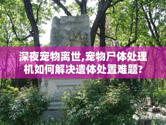 深夜宠物离世,宠物尸体处理机如何解决遗体处置难题?
