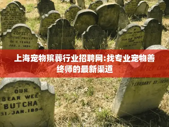 上海宠物殡葬行业招聘网:找专业宠物善终师的最新渠道