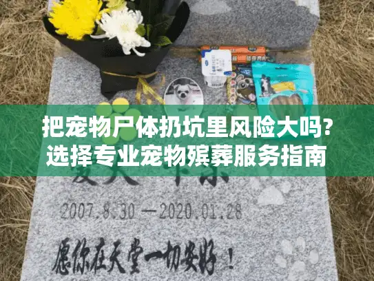 把宠物尸体扔坑里风险大吗?选择专业宠物殡葬服务指南