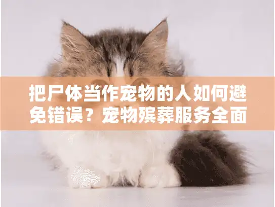 把尸体当作宠物的人如何避免错误？宠物殡葬服务全面指南