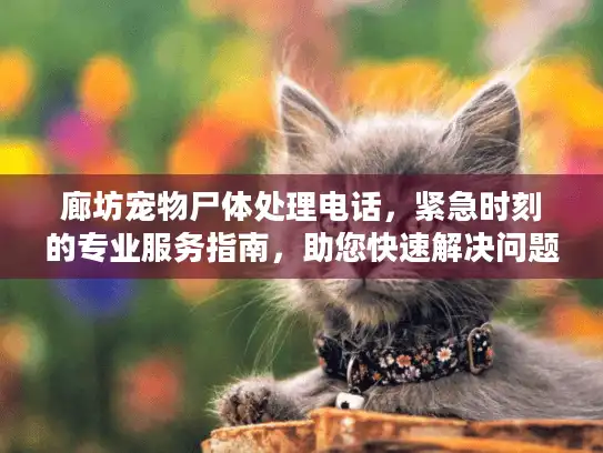 廊坊宠物尸体处理电话，紧急时刻的专业服务指南，助您快速解决问题！