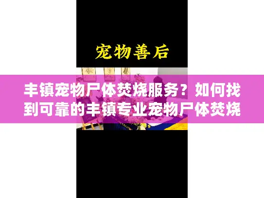 丰镇宠物尸体焚烧服务？如何找到可靠的丰镇专业宠物尸体焚烧服务