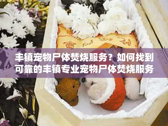 丰镇宠物尸体焚烧服务？如何找到可靠的丰镇专业宠物尸体焚烧服务