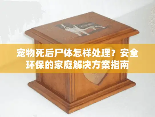 宠物死后尸体怎样处理？安全环保的家庭解决方案指南