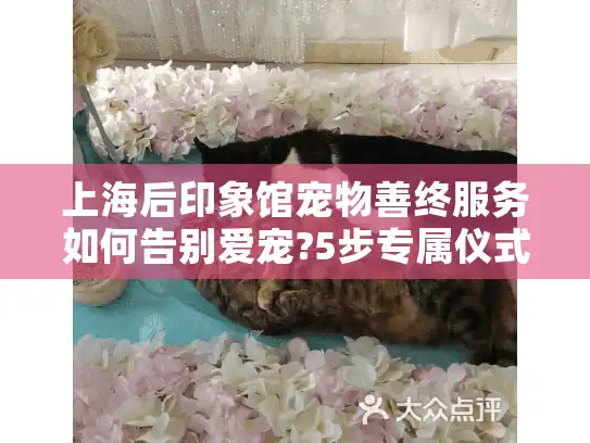 上海后印象馆宠物善终服务如何告别爱宠?5步专属仪式抚平伤痛