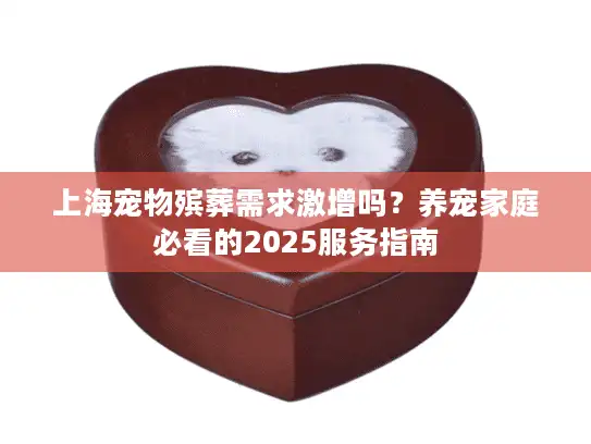 上海宠物殡葬需求激增吗？养宠家庭必看的2025服务指南