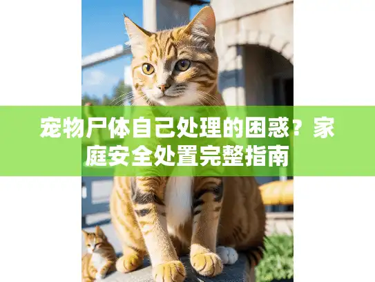 宠物尸体自己处理的困惑？家庭安全处置完整指南