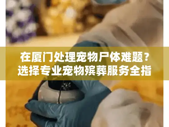 在厦门处理宠物尸体难题？选择专业宠物殡葬服务全指南