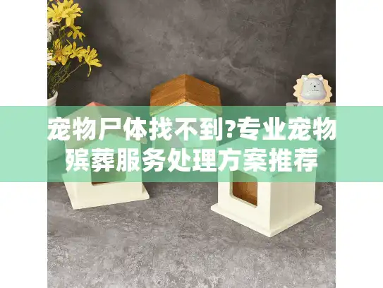 宠物尸体找不到?专业宠物殡葬服务处理方案推荐