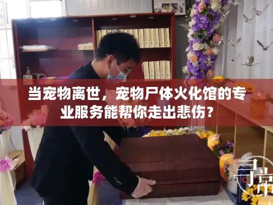 当宠物离世，宠物尸体火化馆的专业服务能帮你走出悲伤？