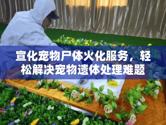 宣化宠物尸体火化服务，轻松解决宠物遗体处理难题