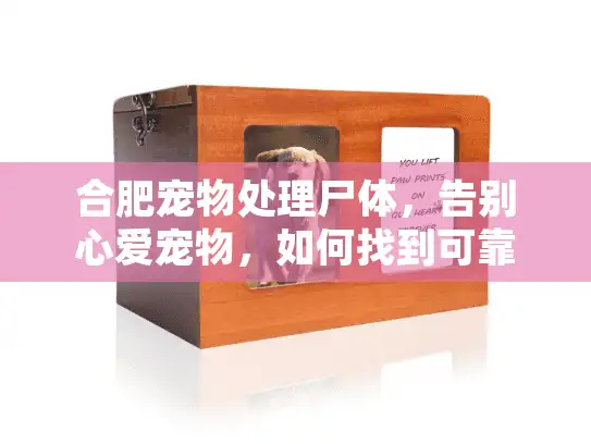合肥宠物处理尸体，告别心爱宠物，如何找到可靠服务？