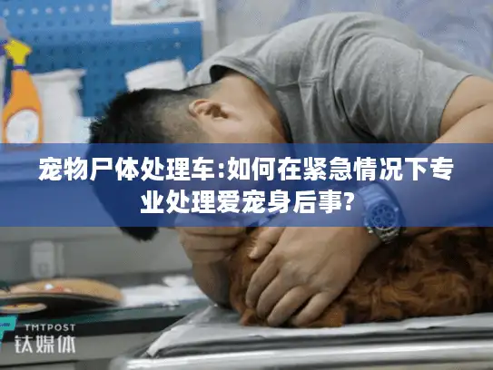 宠物尸体处理车:如何在紧急情况下专业处理爱宠身后事?