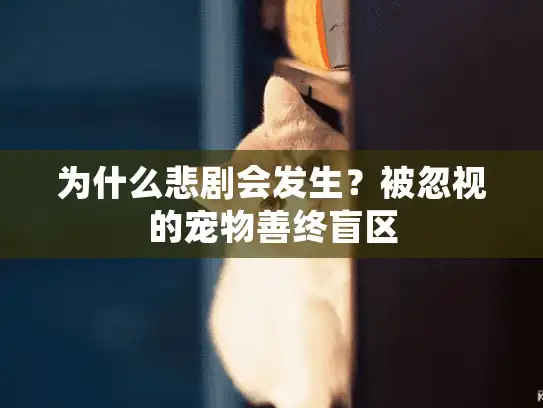 为什么悲剧会发生？被忽视的宠物善终盲区