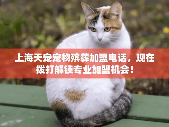 上海天宠宠物殡葬加盟电话，现在拨打解锁专业加盟机会！