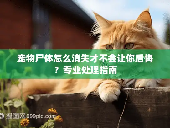 宠物尸体怎么消失才不会让你后悔？专业处理指南