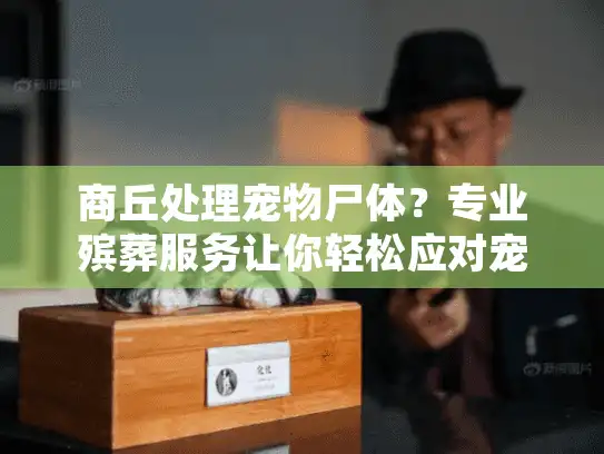 商丘处理宠物尸体？专业殡葬服务让你轻松应对宠物告别