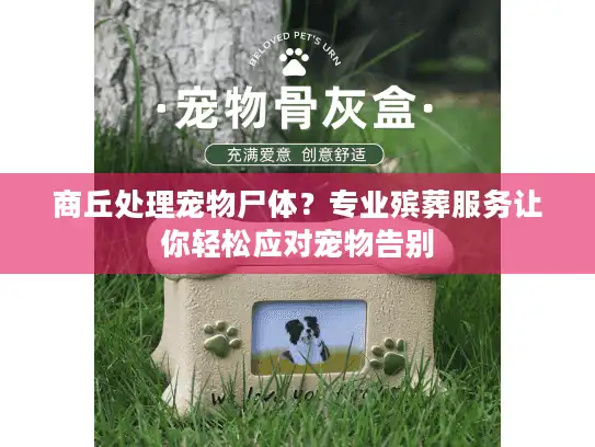 商丘处理宠物尸体？专业殡葬服务让你轻松应对宠物告别