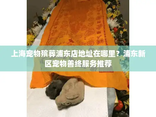 上海宠物殡葬浦东店地址在哪里？浦东新区宠物善终服务推荐