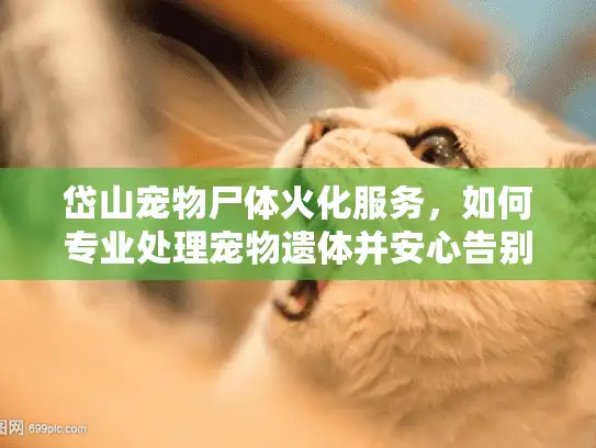 岱山宠物尸体火化服务，如何专业处理宠物遗体并安心告别？