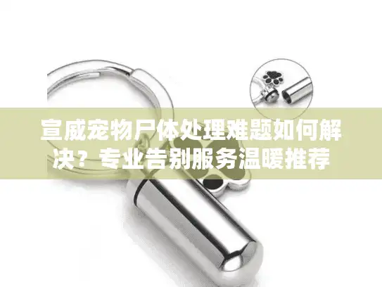 宣威宠物尸体处理难题如何解决？专业告别服务温暖推荐