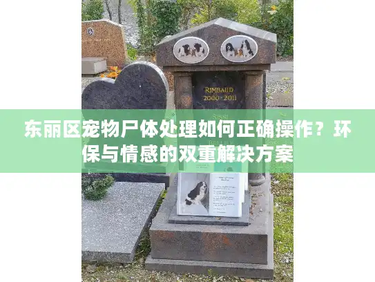 东丽区宠物尸体处理如何正确操作？环保与情感的双重解决方案