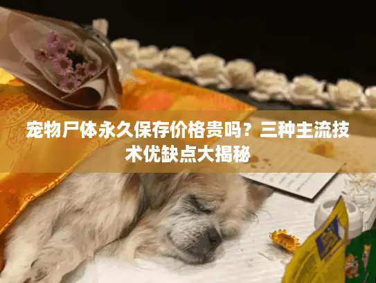 宠物尸体永久保存价格贵吗？三种主流技术优缺点大揭秘