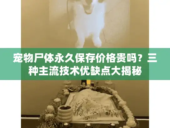 宠物尸体永久保存价格贵吗？三种主流技术优缺点大揭秘