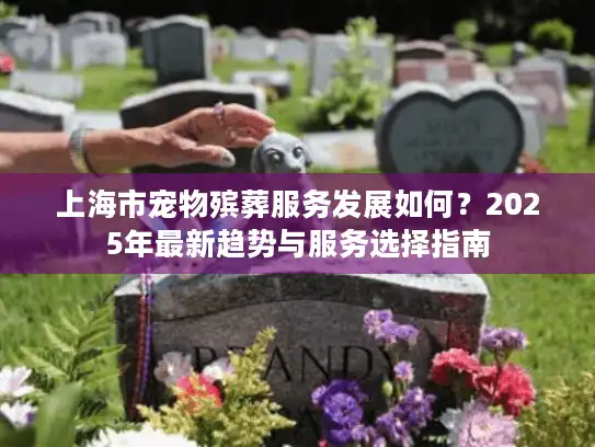 上海市宠物殡葬服务发展如何？2025年最新趋势与服务选择指南