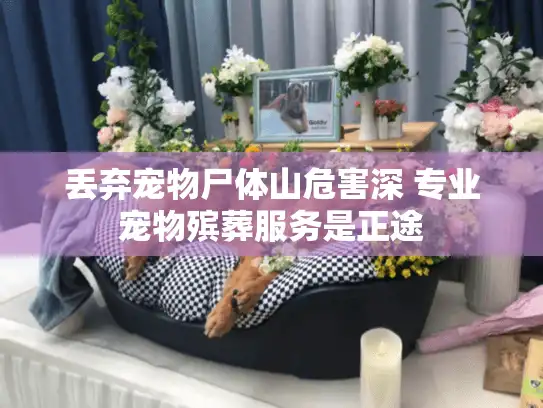 丢弃宠物尸体山危害深 专业宠物殡葬服务是正途