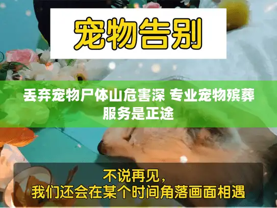 丢弃宠物尸体山危害深 专业宠物殡葬服务是正途