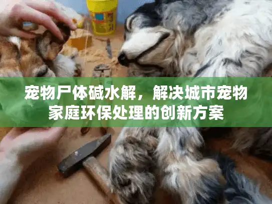 宠物尸体碱水解，解决城市宠物家庭环保处理的创新方案