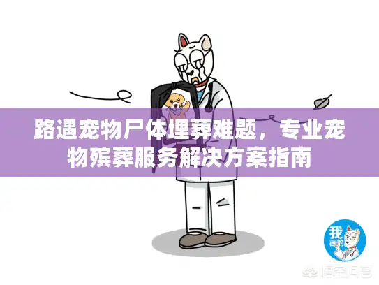 路遇宠物尸体埋葬难题，专业宠物殡葬服务解决方案指南