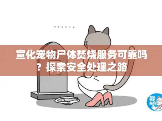 宣化宠物尸体焚烧服务可靠吗？探索安全处理之路