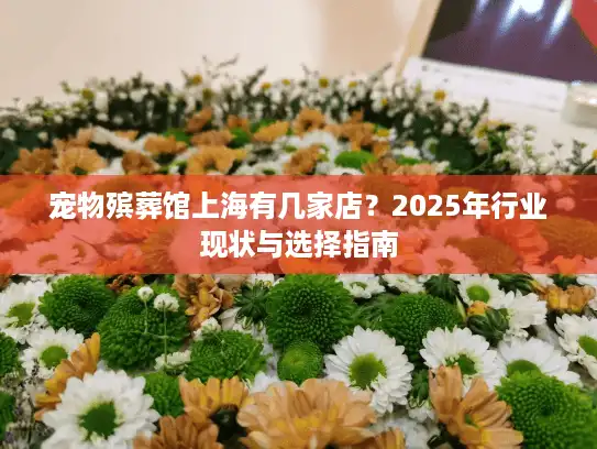 宠物殡葬馆上海有几家店？2025年行业现状与选择指南