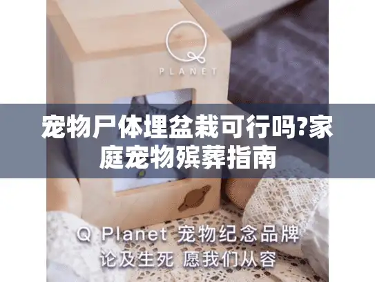 宠物尸体埋盆栽可行吗?家庭宠物殡葬指南