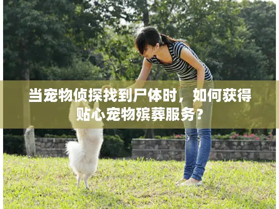 当宠物侦探找到尸体时，如何获得贴心宠物殡葬服务？