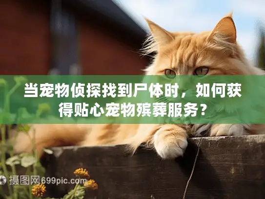 当宠物侦探找到尸体时，如何获得贴心宠物殡葬服务？