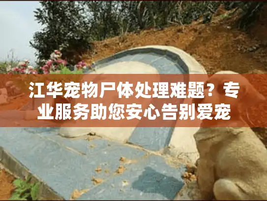 江华宠物尸体处理难题？专业服务助您安心告别爱宠