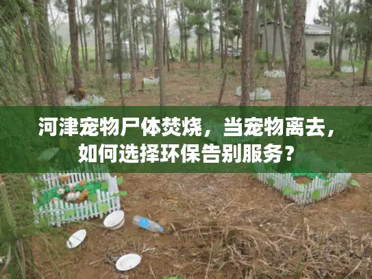 河津宠物尸体焚烧，当宠物离去，如何选择环保告别服务？