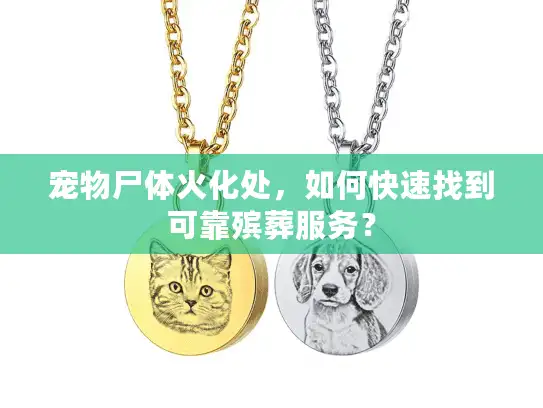 宠物尸体火化处，如何快速找到可靠殡葬服务？