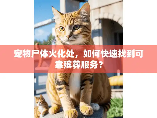 宠物尸体火化处，如何快速找到可靠殡葬服务？