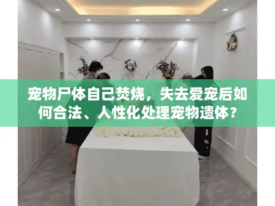 宠物尸体自己焚烧，失去爱宠后如何合法、人性化处理宠物遗体？