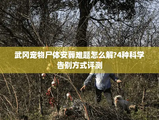 武冈宠物尸体安葬难题怎么解?4种科学告别方式评测