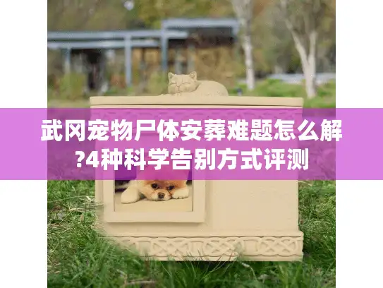 武冈宠物尸体安葬难题怎么解?4种科学告别方式评测